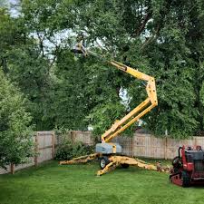 Best Landscape Design and Installation  in Rio Rancho, NM