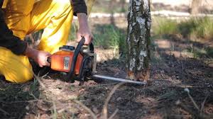 Lawn Watering Services in Rio Rancho, NM